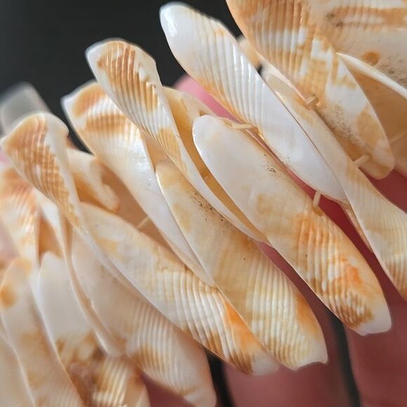 SEASHELL Bracelet WOMEN shells elastic band cream tan off white jewelry unique - Picture 5 of 15